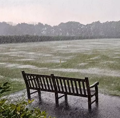 Wet-Lawns